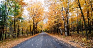 Fall Road – Door County, Wisconsin